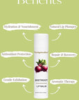 Lip Balm – Natural Moisturizing Lip Care, Organic Plant-Based Formula with Cold-Pressed Oils & Antioxidants, Vegan, Cruelty-Free (4.25 gm, Beetroot)
