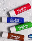 Vaseline Lip Therapy Variety 4-Pack – Rosy Lips + Cocoa Butter Moisturizing Lip Balm with Vitamin E, 0.16 Oz Ea
