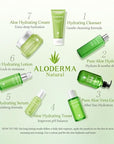 Aloderma Hydrating Face Cream for Dry Skin Made with 70% Organic Aloe Vera - Natural Hydration with Hyaluronic Acid & Arginine - Nourishing Aloe Vera Face Cream - Moisturizing Dry Skin Cream, 1.7oz