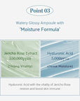 NACIFIC Hyal Booster Hydrating Set Toner