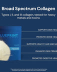 Blueprint Bryan Johnson Hydrolyzed Collagen Peptides Powder – Type I, II & III Collagen for Women & Men – Unflavored Protein Supplement for Hair, Skin, Nails, Joints & Cartilage – 20g – 30 Servings