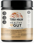 TERRA ORIGIN Healthy Gut Peach Banana | 30-Servings with L-Glutamine, Zinc, Glucosamine, Slippery Elm Bark, Marshmallow Root and More!