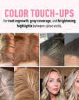 BOLDIFY Hairline Powder - Root
