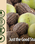 Nature's Answer Black Walnut Green Hull Extract 1oz - Alcohol-Free, Gluten-Free, Kosher - Black Walnut, Wormwood Black Walnut Clove Parasite Cleanse - Detox & Liver Support, Digestive Cleanser