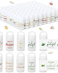 72 Pcs Mini Lip Balm Bulk All