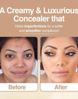Frankie Rose Cosmetics Our Lil’ Secret Concealer – - Angelic