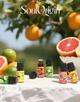 Citrus Essential Oils Set, Fragrance Oil Set for Diffuser, Scent Diffuser Oil for Candle Making- Blood Orange, Lemon, Bergamot, Lime, Grapefruit, Citrus