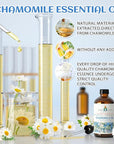 EVOKE OCCU Chamomile Essential Oil for Skin Hair Diffuser Candle Soap Making - 4 FL Oz