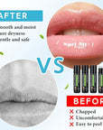 4 Pcs Lip Balm with Gift Lips