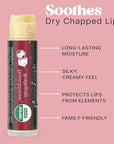 USDA Organic Lip Balm - USA Made with Natural Ingredients, 4 Pack Multi Flavor Lips Moisturizer, Moisturizing Lip Care, Beauty Gifts & Small Birthday Gifts, Moisturizer Chapstick Care for Dry Lips