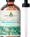 EVOKE OCCU Pine Essential Oil for Diffuser, Fresh Pine Scent for Aromatherapy, Skin, Hair Care, Soap & Candle Making - 4 Fl Oz