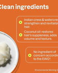 ATTITUDE Amplifying Shampoo for Curly Hair with Coconut Oil, EWG Verified, Vegan and Naturally Derived Ingredients, 2a, 2b, 2c Curl Type, Gives body to Curls, 16 Fl Oz