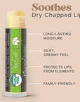 USDA Organic Lip Balm - USA Made with Natural Ingredients, 12 Pack Multi Flavor Lips Moisturizer, Moisturizing Lip Care, Beauty & Birthday Gifts, Moisturizer Chapstick Bulk Care for Dry Lips