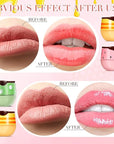 12 Pcs Bee Lip Balm Honey