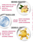 2PCS Plumping Lip Oil Set,Hydrating Lip