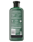 Herbal Essences Avocado & Argan Oil Sulfate Free Shampoo, 13.5 fl oz (Pack of 2)