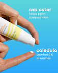 Seaweed Bath Co. Weightless Face Shield Mineral SPF 50 Zinc Oxide Suncreen Facial Serum, 1.7 Oz., Lightweight, Water Resistant Facial Moisturizer