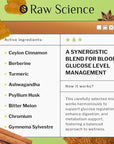 S RAW SCIENCE Sugar Free Berberine Gummies with Ceylon Cinnamon 2000mg - Blood Support - Ashwagandha, Turmeric, Chromium, Psyllium Husk Powder, Gymnema Sylvestre - 60 Fiber Gummies