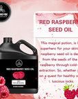 Naturevibe Botanicals Red Raspberry Oil 32 Ounces | 100% Pure and Natural | Great for Skin Care and Hair Care
