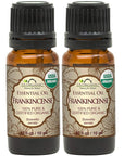 US Organic 100% Pure Frankincense Essential Oil, USDA Certified Organic, Steam Distilled, Boswellia serrata, Origin India, Use Topically or in Diffuser (10 ml, Value 2 Pack)