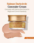 SKINFOOD Salmon Dark Circle Concealer Cream - Under Eye Concealer for Dark Spots and Wrinkles - Full Coverage - Stocking Stuffers, 0.35 Oz/10 g (Salmon Beige)