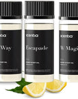 Scentia My Way Hotel Diffuser Oil | Aromatherapy Fragrances Inspired by 5-Star Hotels | Luxurious Scents Gift Box Set - 3 x 50ml - The 1 Hotel Miami Beach, W Magic - Thanksgiving & Holiday Gift