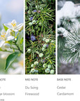 Hotel Waterless Diffuser Oil Winter Pine, Essential Scent Oil Usage Cold Air Waterless Diffuser, Luxury Scents Oils Fragrance Bottle120 ML Home Natural Flavour