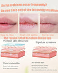 Moisturizing Lip Balm Day & Night