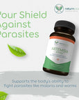 Artemisia Trinity | Cleansing for Adults with Wormwood Herb & Artemisinin 30:1 Extract | Resistance & Digestive Support | Herbal Supplements | Pure, Plant-Based, 90 Caps
