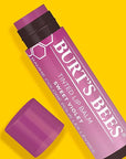 Burt's Bees Lip Tint Balm