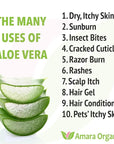 Organic Aloe Vera Gel for Skin, Face, Body, After Sun Care - USDA Certified Organic, 12 fl. oz.