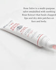 C.O. Bigelow Lip Balm Tube Trio, oz