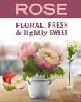 MRS. MEYER'S CLEAN DAY New Spring Scent Variety Pack (Lilac + Daisy + Rose)
