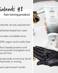 FOUR REASONS Color Mask - Graphite - (27 Colors) Toning Treatment, Color Depositing Conditioner, Tone & Enhance Color-Treated Hair - Semi Permanent Hair Dye, Vegan and Cruelty-Free, 6.76 fl oz
