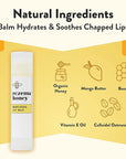 ECZEMA HONEY Nourishing Lip Balm -