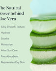 BARE BOTANICS Cooling Aloe Spray for Skin & Hair - Large 12oz | Sunburn Spray & Aloe Hair Moisturizer | 99.66% Pure Unscented Aloe Vera Spray Made in Wisconsin…