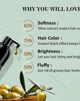 Fvquhvo Instant Black Hair Shampoo, Hair Color Shampoo for Gray Hair, Black Hair Dye Shampoo 3 in 1, Shampoo Hair Dye & Champu Para Canas, Colors in Minutes, Easy to Use, 16.90 Fl Oz