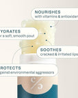 Cliganic USDA Organic Lip Balm Set