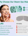 60 pcs disposable steam eye