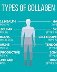 Natures Plus Collagen Peptides, Vanilla - 0.8 lb Powder - Hair, Skin, Nail & Joint Health, Immune System Support - Non-GMO, Gluten Free - 14 Servings