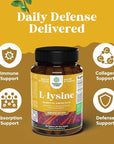 L Lysine 1000mg Free Form - High Strength L-Lysine Supplement for Eye Health Lip Care Collagen Synthesis and Immune Support - Essential Amino Acid Vegan Non-GMO 1000mg per Serving - 100 Tablets