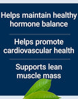 Life Extension DHEA 25 mg – For Hormone Balance, Immune Support, Sexual Health and Anti-Aging - Supports Memory & Mood - Non-GMO, Gluten-Free, Vegetarian - 100 Dissolve-In-Mouth Tablets