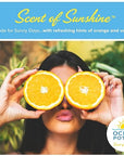 Ocean Potion Sunscreen Lotion SPF#30 6.8oz