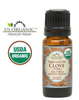 US Organic 100% Pure Clove Stem Essential Oil - USDA Certified Organic, Steam Distilled (10 ml)
