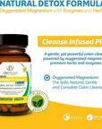 Life Infused Cleanse Infused Plus - Premium Natural Colon Cleanser with Oxygenated Magnesium, Herbs, and Enzymes, Helps Relieve Constipation Gently, Detoxifies Blood, Colon, Liver & Kidneys (90 Caps)
