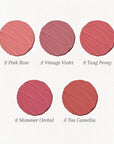 Tinted Lip Balm Plumper Set, Glossy,