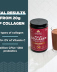 Ancient Nutrition Hydrolyzed Collagen Peptides Powder with Probiotics, Chocolate Multi Collagen Protein for Women and Men with Vitamin C, 40 Servings, Supports Skin and Nails, Gut Health, 16.65oz