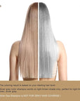 Silver Gray Hair Dye, Hair Dye Shampoo 3 in 1, Silver Hair Shampoo, Hair Color Shampoo for Gray Hair, Champu Para Canas & Shampoo Para Canas Mujer