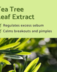 iUNIK Centella Mini Set Travel-Friendly Skincare calming