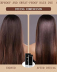 Safe and Convenient Comb Hair Dye, Waterproof and Sweat-Proof Hair Dye Comb (black)